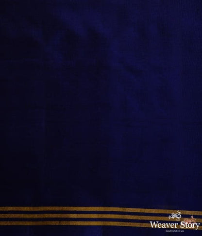 Pure_silk_Gujarat_Patola_saree_in_royal_blue_with_elephant_motifs_WeaverStory_05