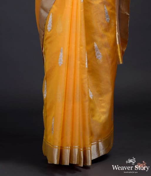 Mango_Yellow_chanderi_saree_with_silver_zari_motifs_WeaverStory_04